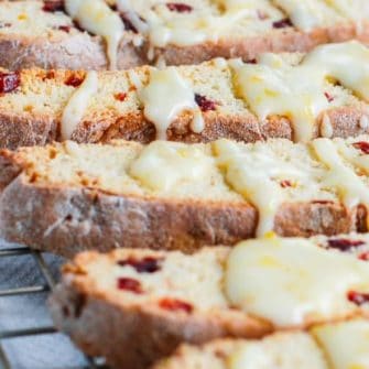 Iced Orange-Cranberry Biscotti | Nutritioulicious