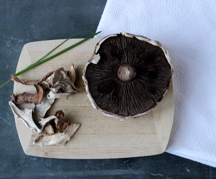 Variety of mushrooms on cutting board mushrooms come in many varieties, many of which can be used by the home cook.