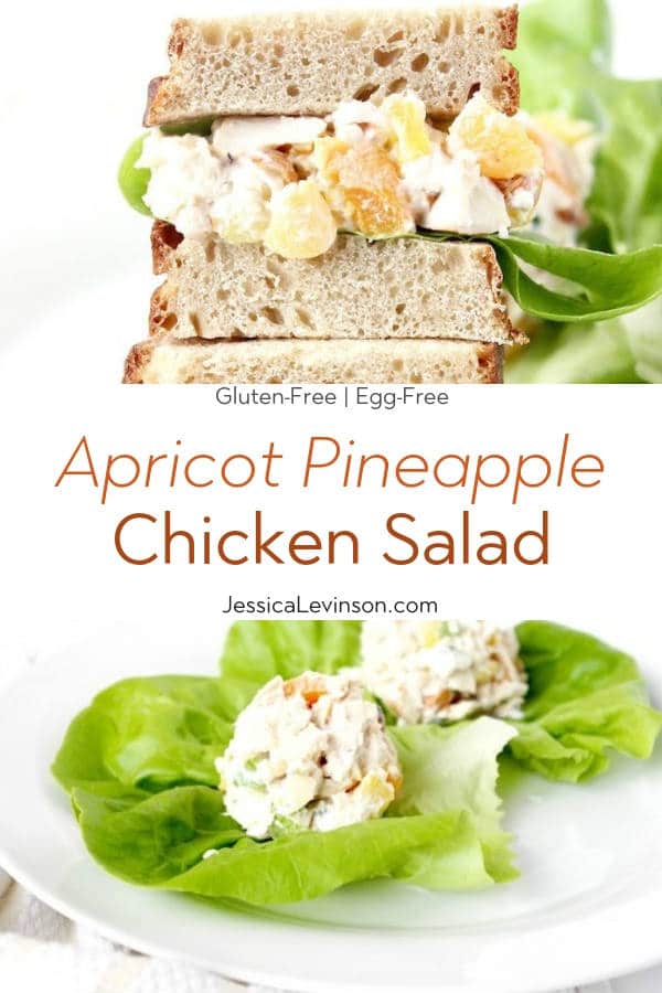 Switch up your regular chicken salad with this Apricot Pineapple Chicken Salad lightened up with Greek yogurt. Recipe via JessicaLevinson.com #chickensalad #picnicfood Apricot Pineapple Chicken Salad with Text Overlay
